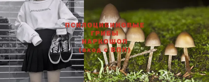 Псилоцибиновые грибы MAGIC MUSHROOMS  Владимир 